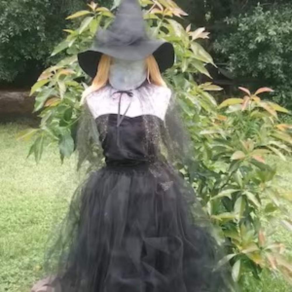 Adult Witch Costume